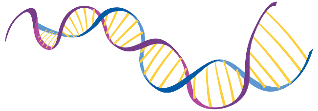 Nutrigenomics in nutrition